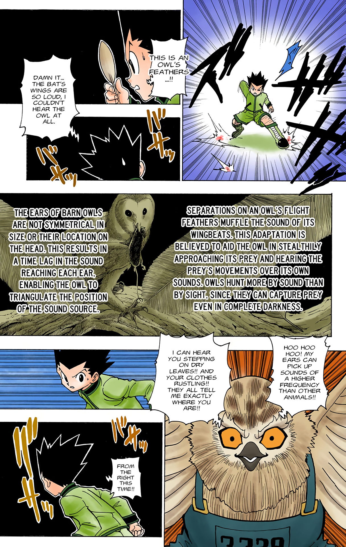 Hunter X Hunter Full Color Vol.22 Chapter 232: 9: Part 3 - Picture 3