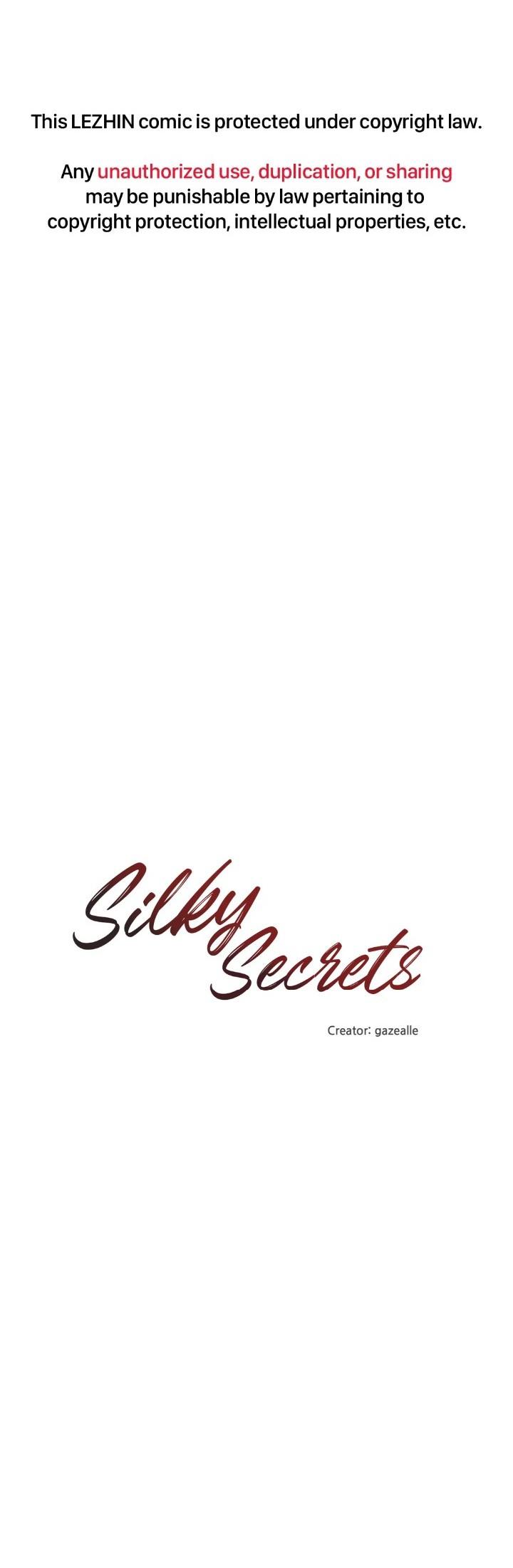 Silky Secrets Chapter 19 - Picture 1