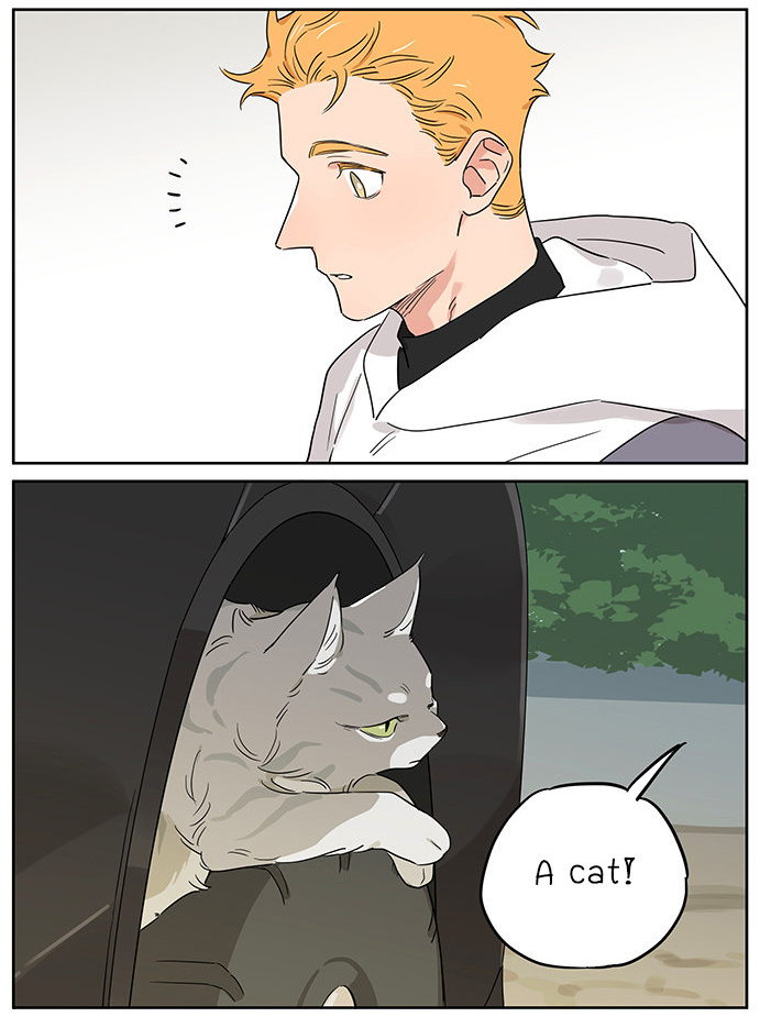 The Wolf That Picked Something Up Chapter 90: Petting A Cat - Picture 2