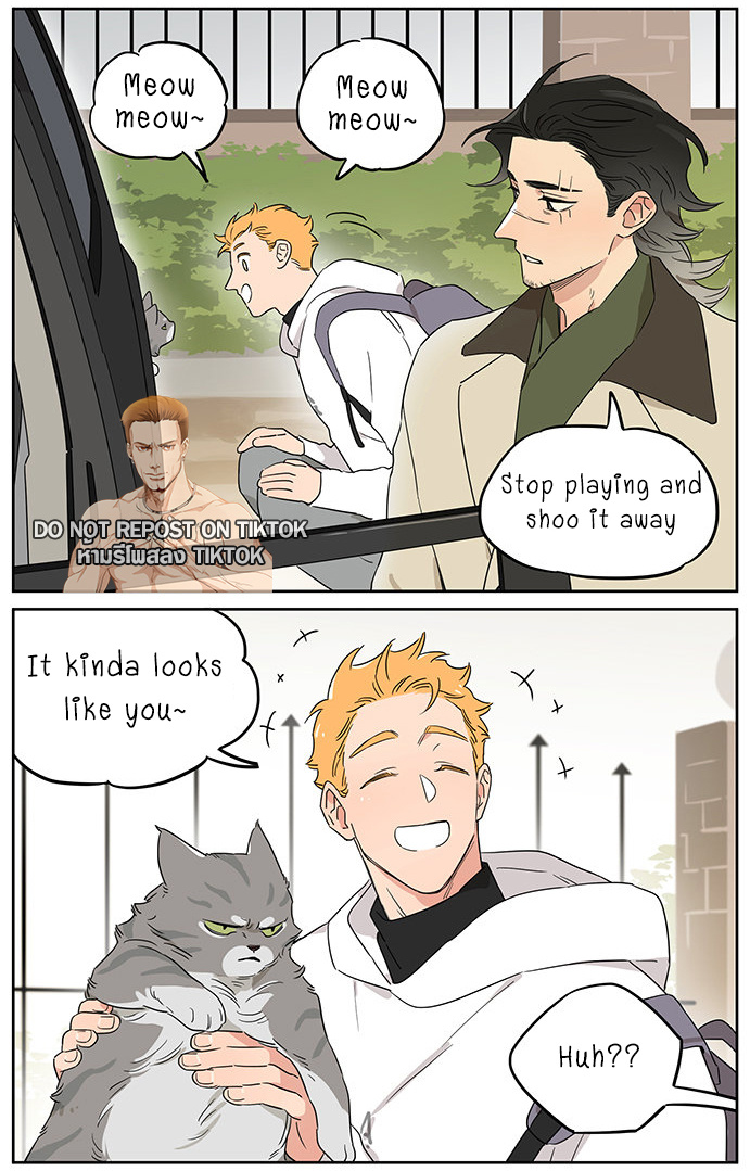 The Wolf That Picked Something Up Chapter 90: Petting A Cat - Picture 3