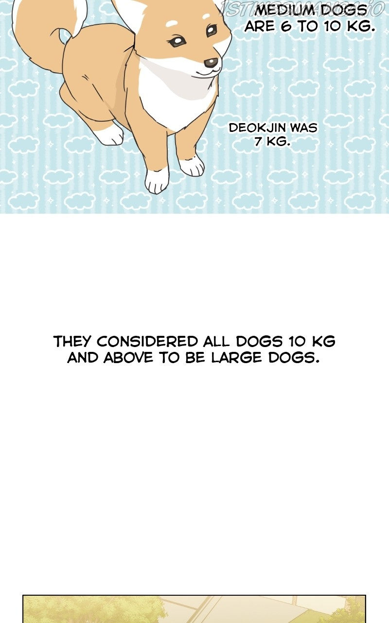The Dog Diaries - Page 2