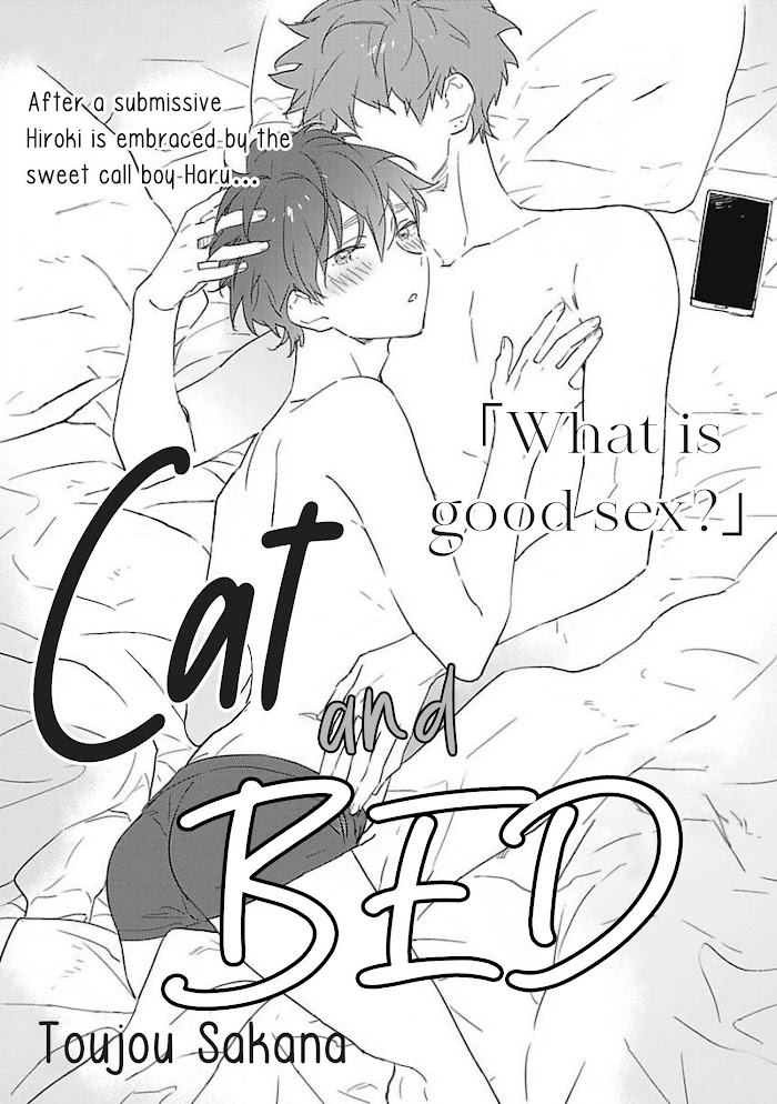 Cat And Bed - Page 2
