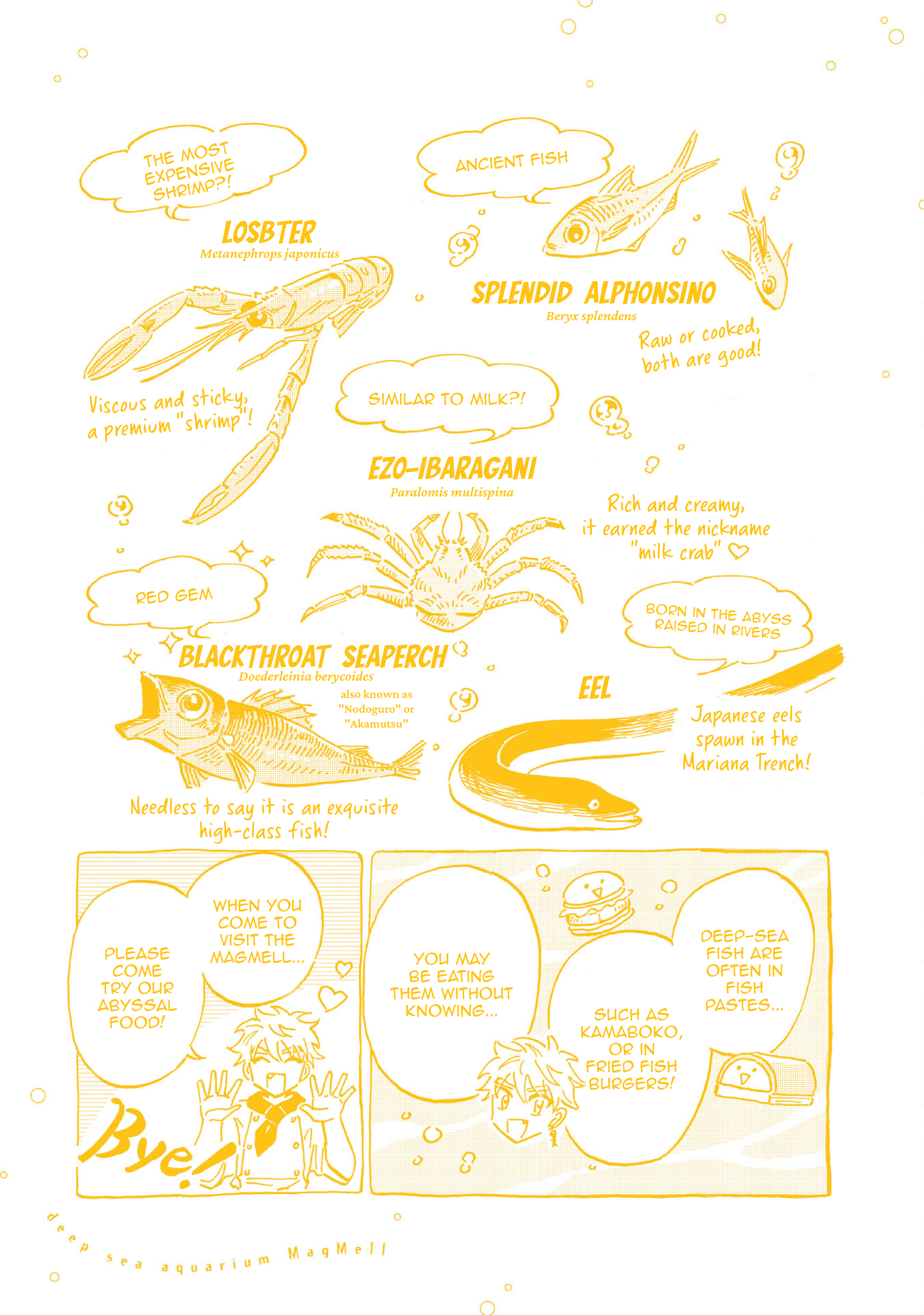 Deep Sea Aquarium Magmell - Page 2