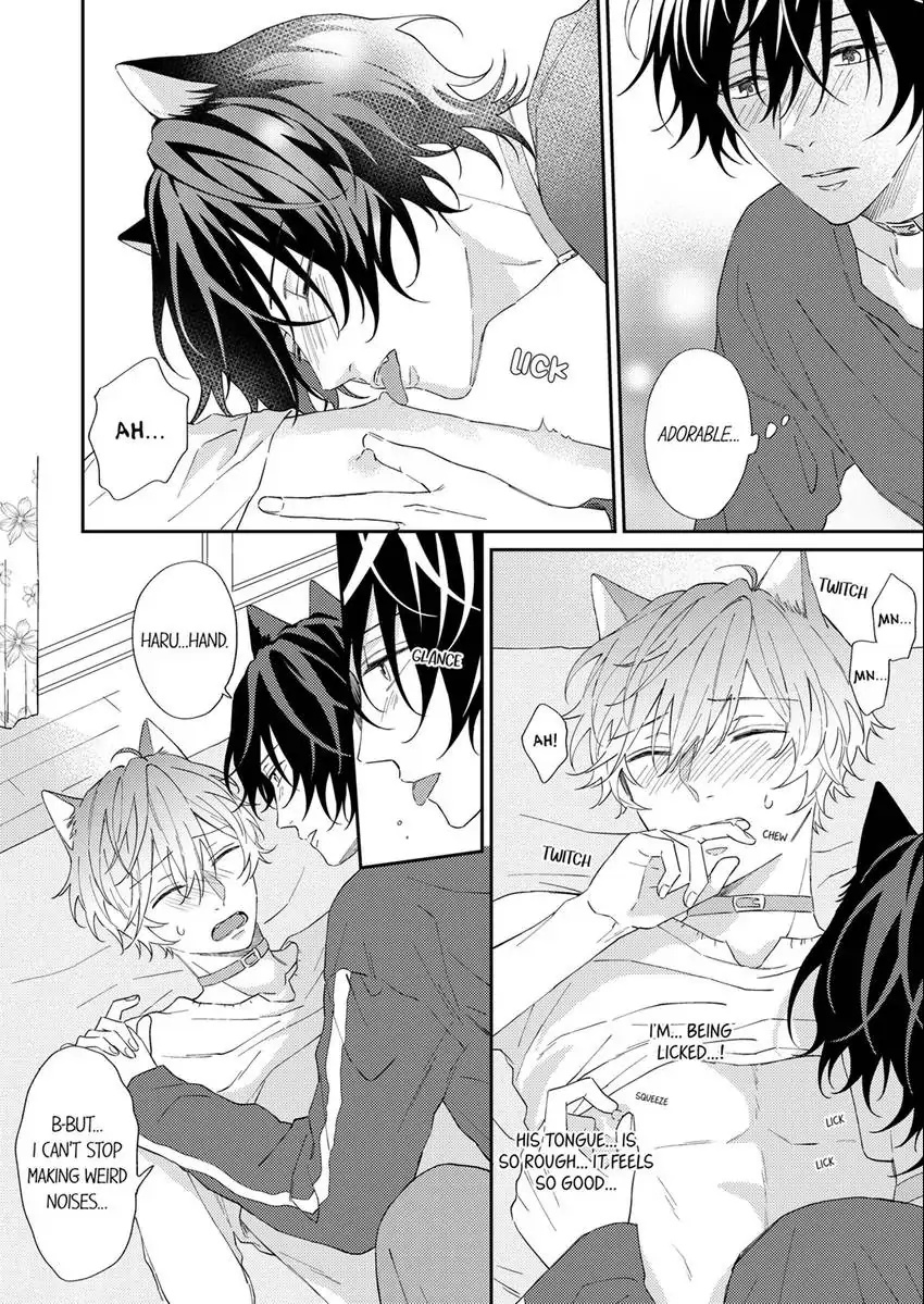 Haru To Rui No Nyanderful Love Life! Chapter 6 - Picture 3