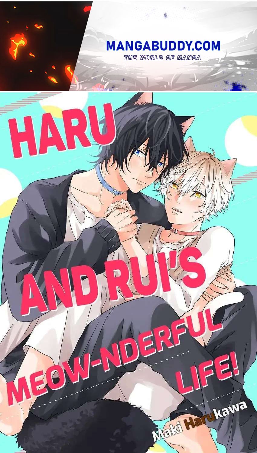 Haru To Rui No Nyanderful Love Life! Chapter 21 - Picture 1