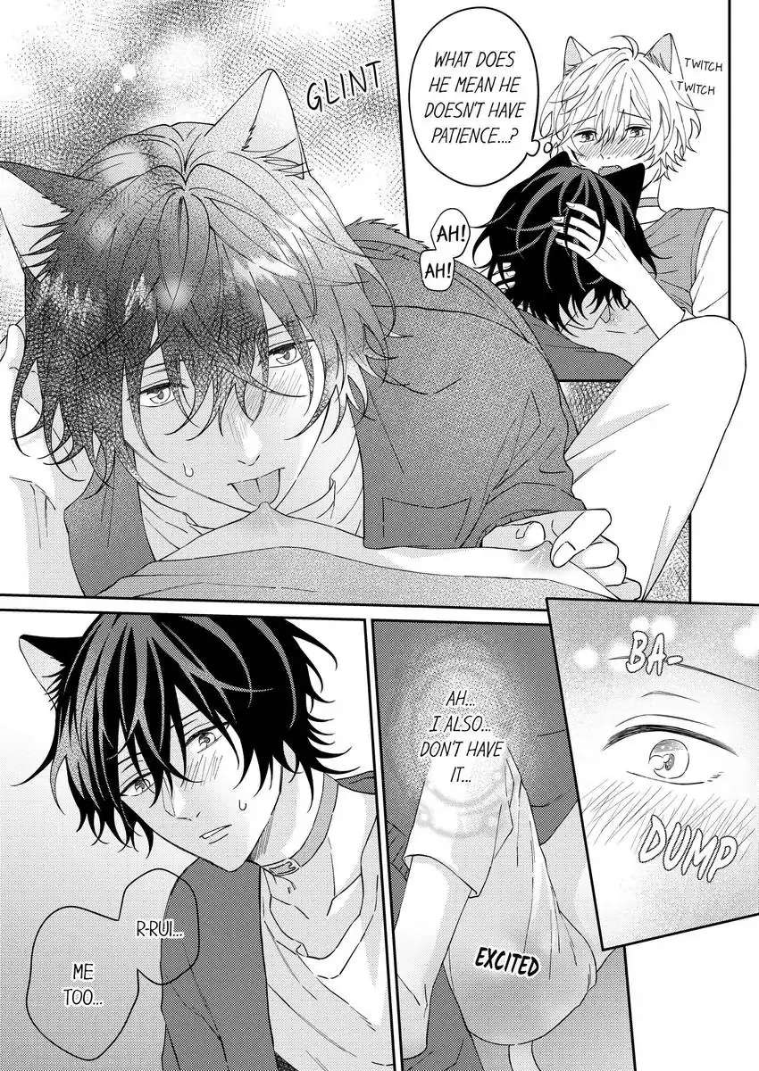 Haru To Rui No Nyanderful Love Life! Chapter 21 - Picture 2