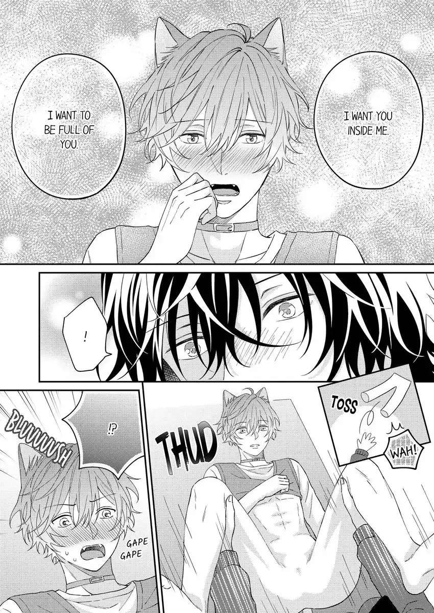 Haru To Rui No Nyanderful Love Life! Chapter 21 - Picture 3
