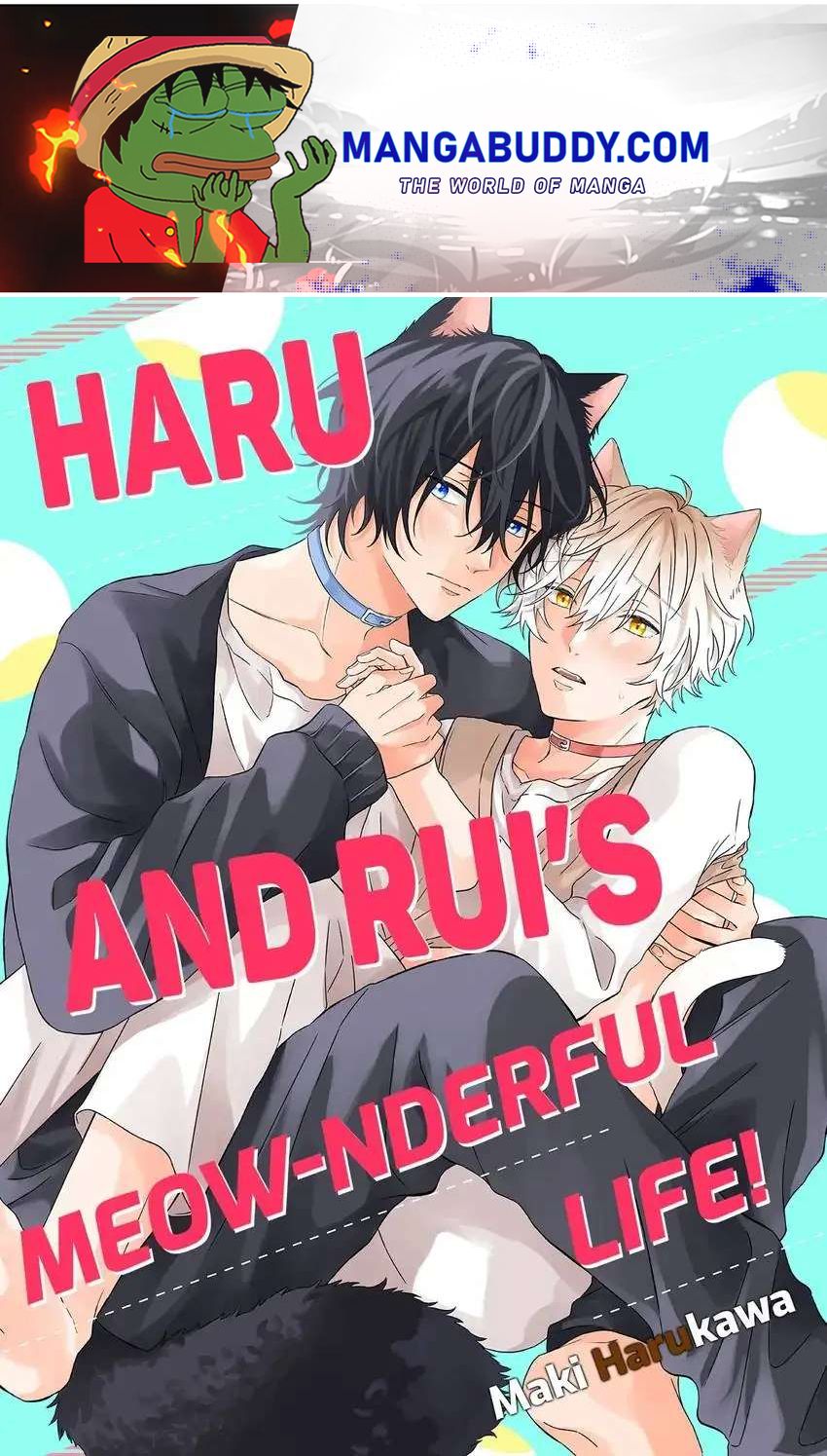 Haru To Rui No Nyanderful Love Life! Chapter 20 - Picture 1