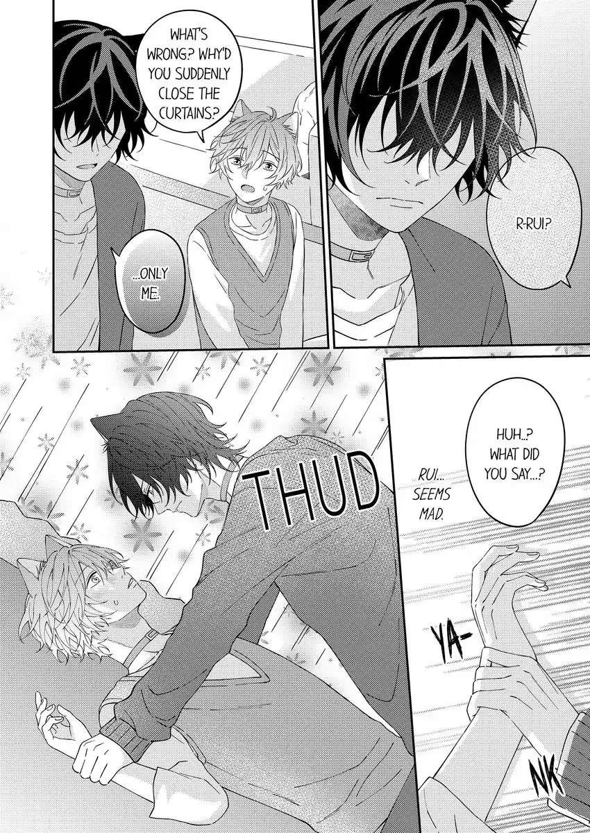 Haru To Rui No Nyanderful Love Life! Chapter 20 - Picture 3