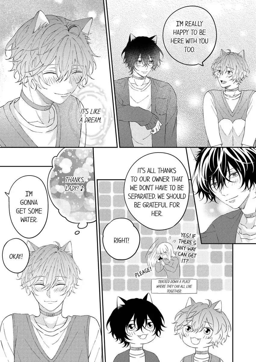 Haru To Rui No Nyanderful Love Life! - Page 4