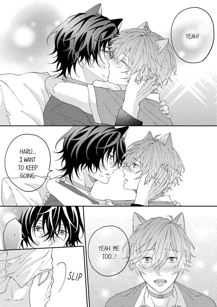 Haru To Rui No Nyanderful Love Life! Chapter 18 - Picture 3