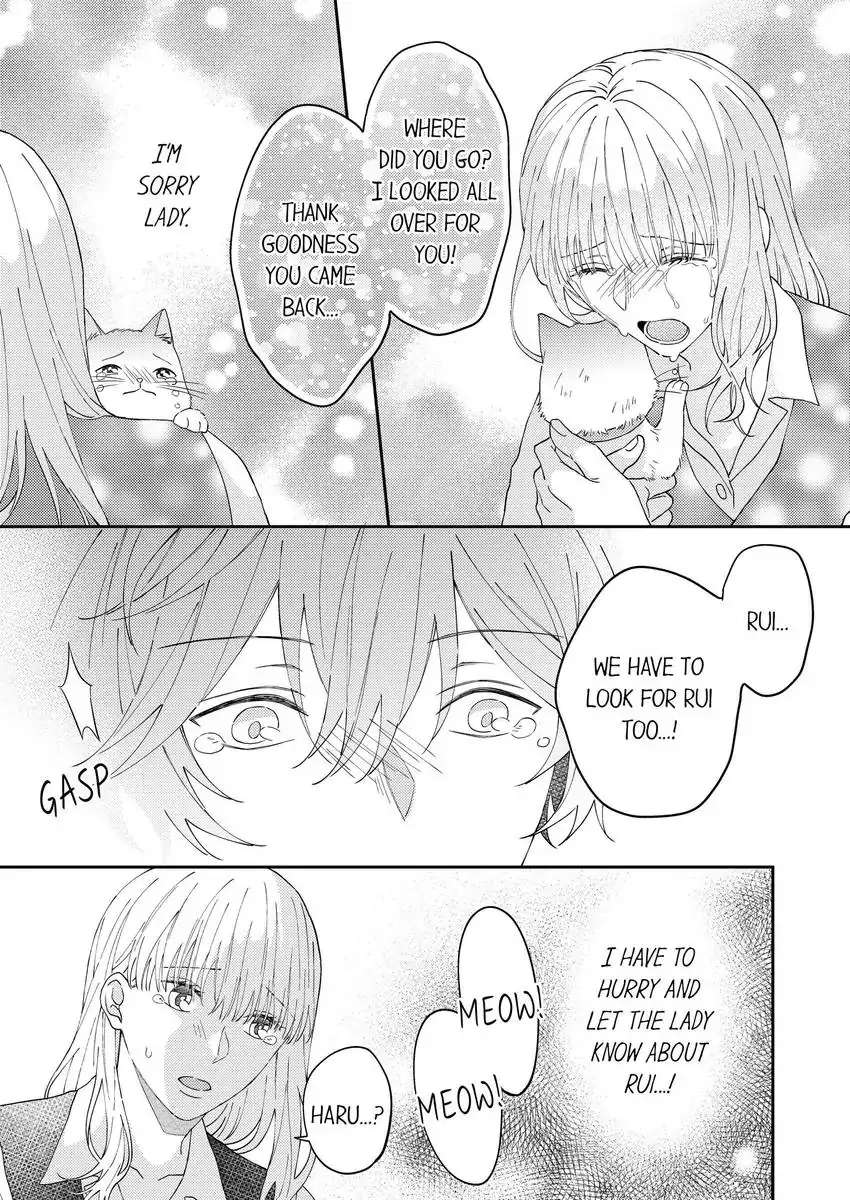 Haru To Rui No Nyanderful Love Life! Chapter 17 - Picture 2