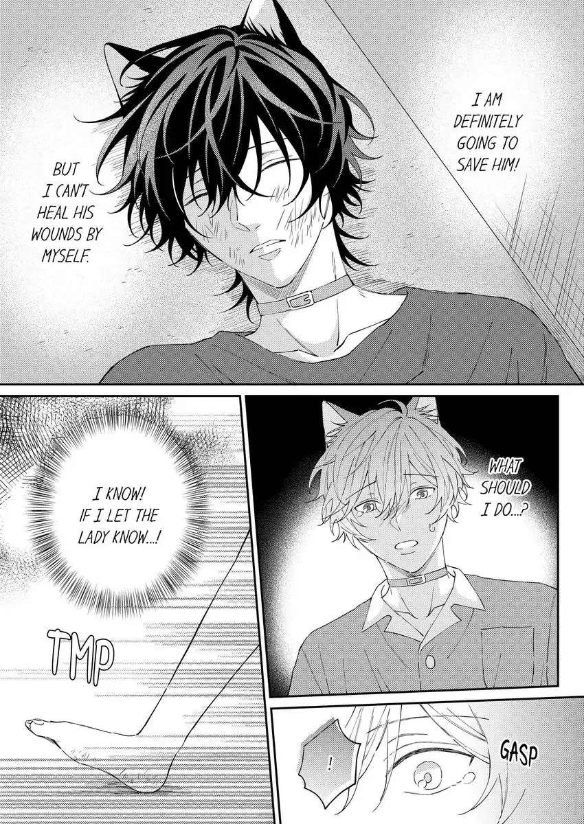 Haru To Rui No Nyanderful Love Life! Chapter 16 - Picture 2