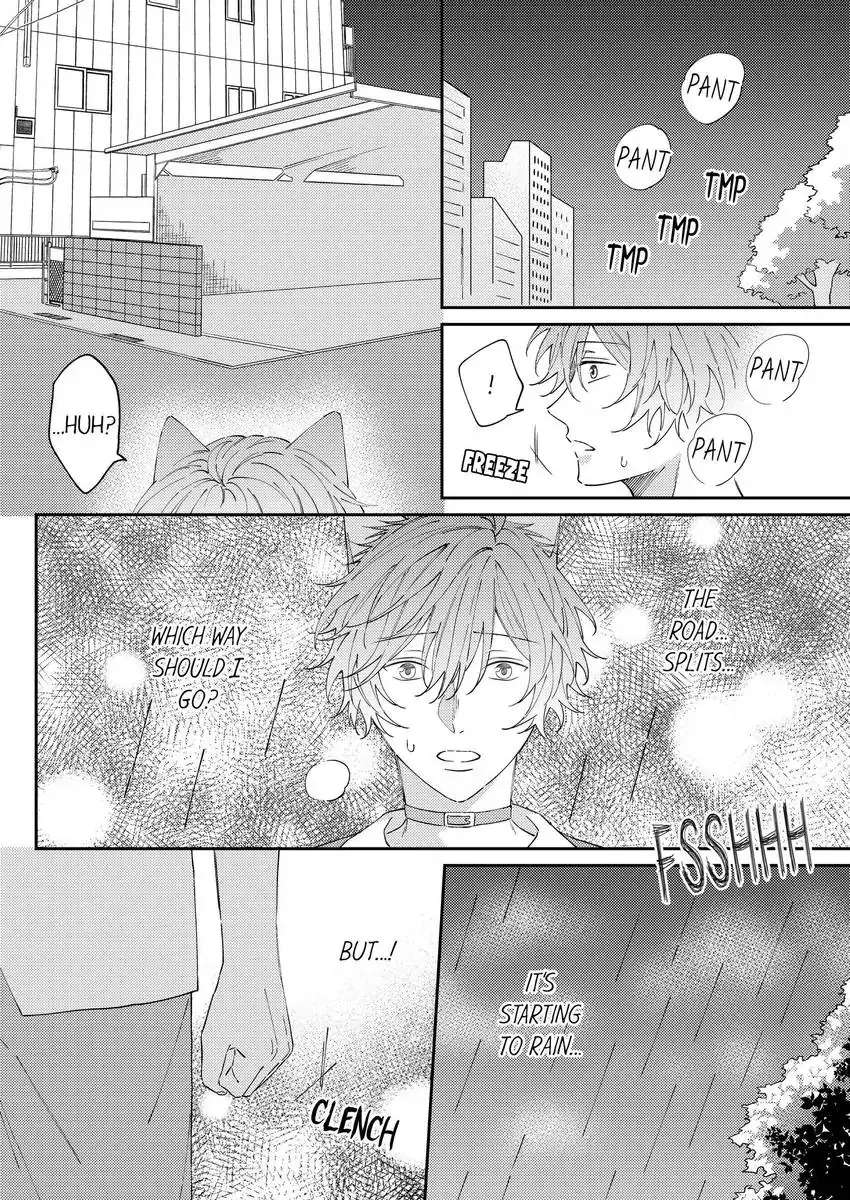 Haru To Rui No Nyanderful Love Life! Chapter 16 - Picture 3