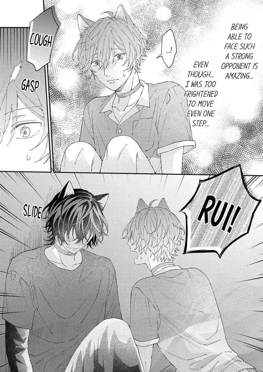 Haru To Rui No Nyanderful Love Life! Chapter 15 - Picture 2