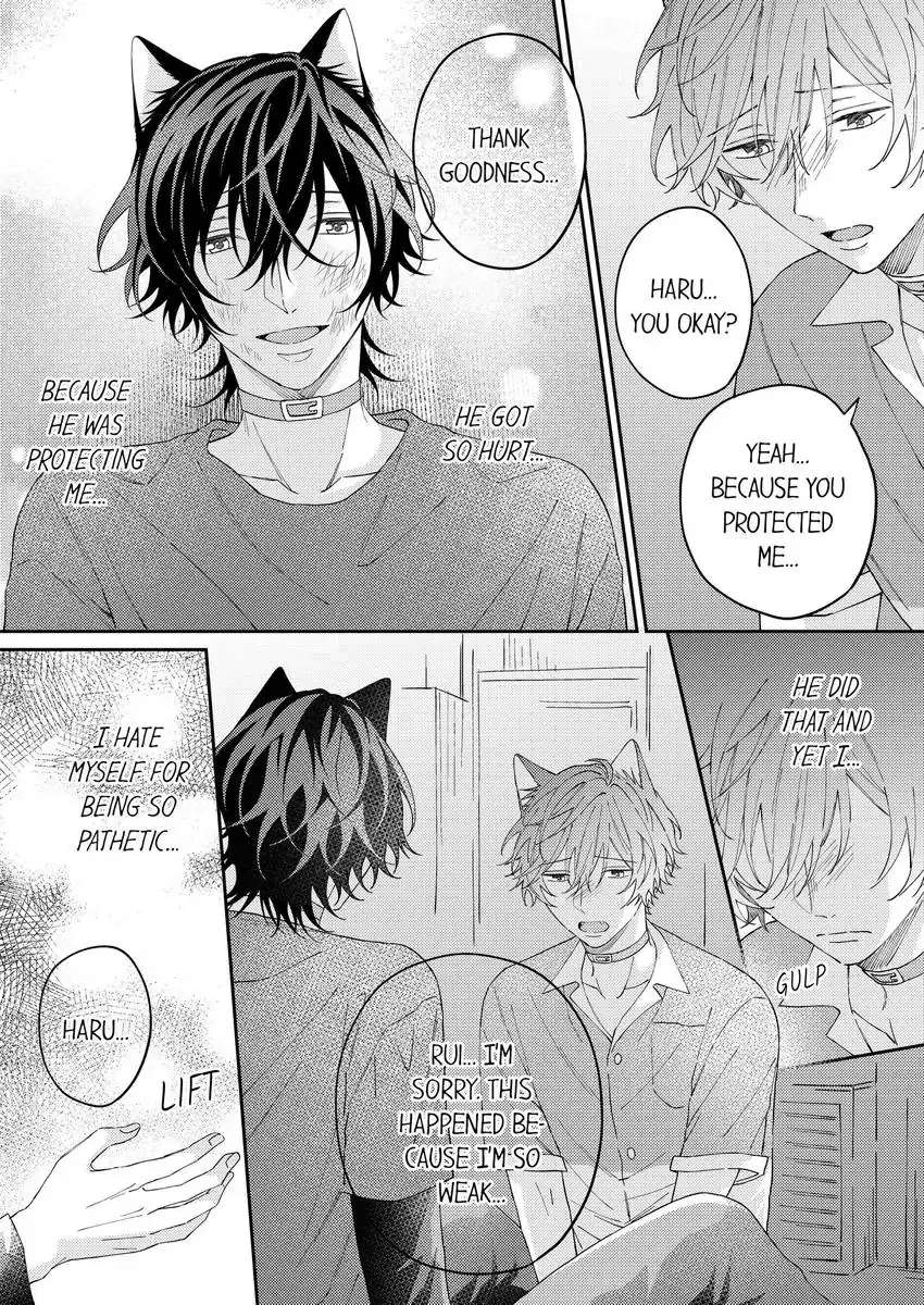 Haru To Rui No Nyanderful Love Life! Chapter 15 - Picture 3