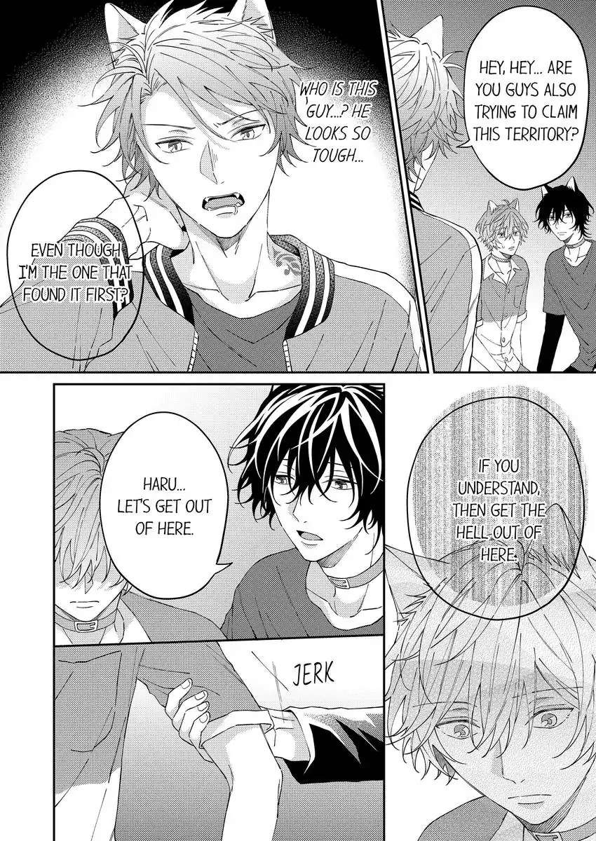 Haru To Rui No Nyanderful Love Life! Chapter 14 - Picture 3