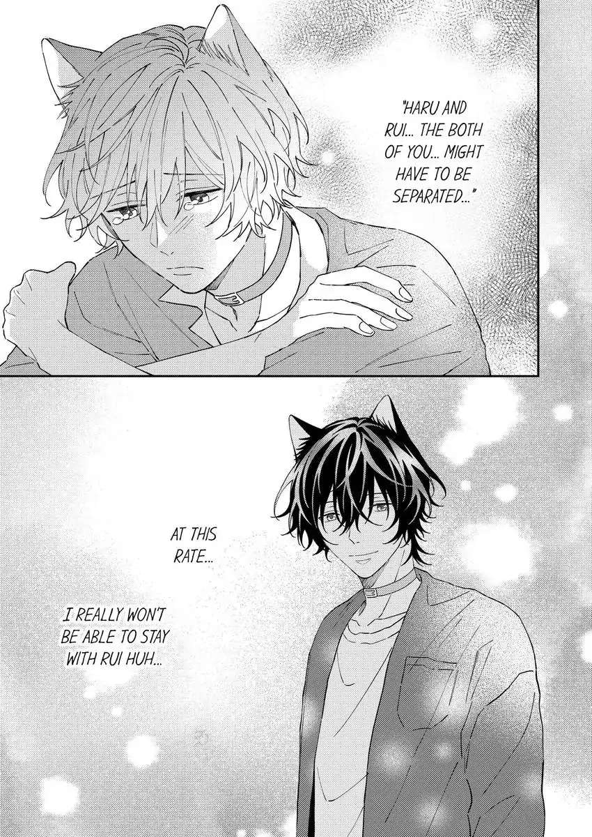 Haru To Rui No Nyanderful Love Life! Chapter 13 - Picture 2