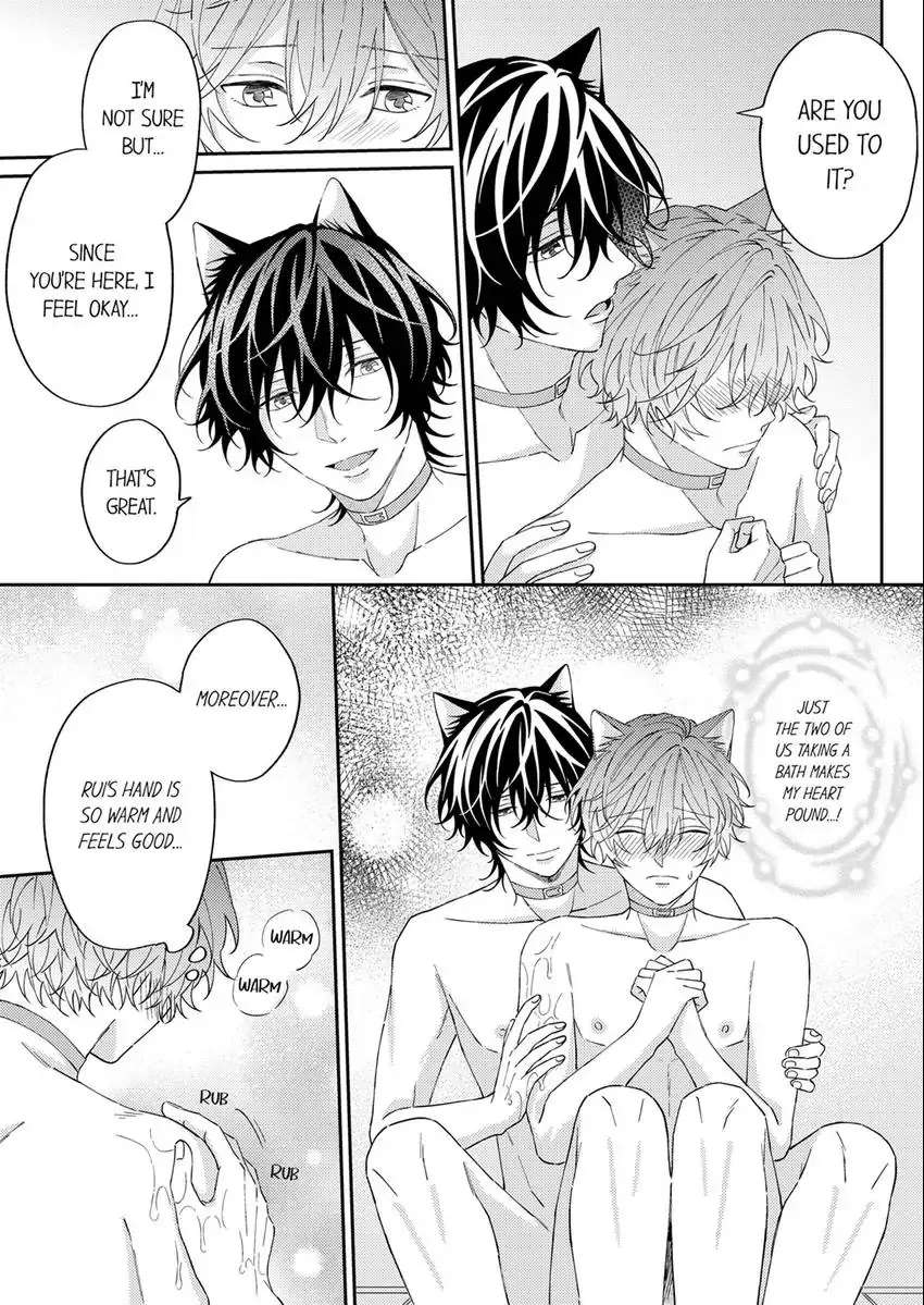 Haru To Rui No Nyanderful Love Life! Chapter 11 - Picture 2