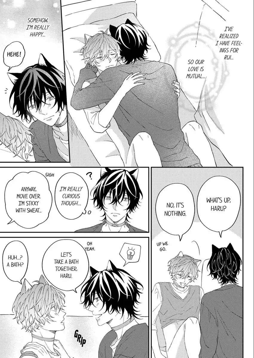 Haru To Rui No Nyanderful Love Life! - Page 2