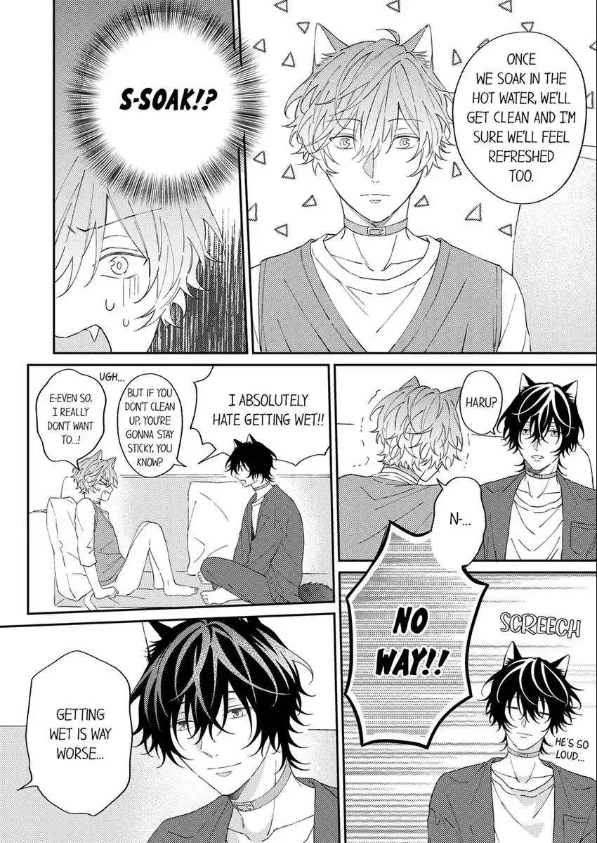 Haru To Rui No Nyanderful Love Life! - Page 3