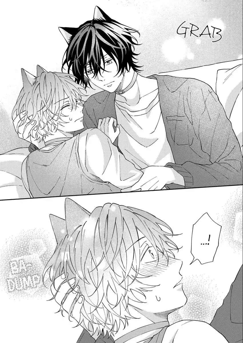 Haru To Rui No Nyanderful Love Life! Chapter 8 - Picture 3