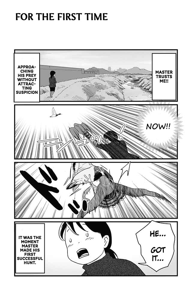 Hawk Master, It's Hunting Time! Chapter 8: The Hawk Is Lost - Picture 3