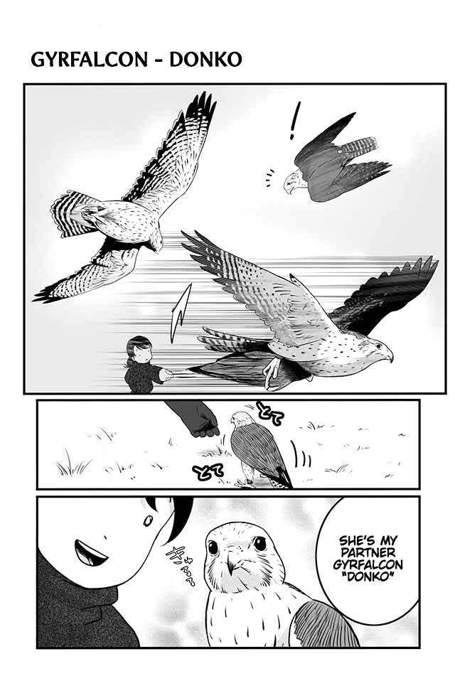 Hawk Master, It's Hunting Time! - Page 2