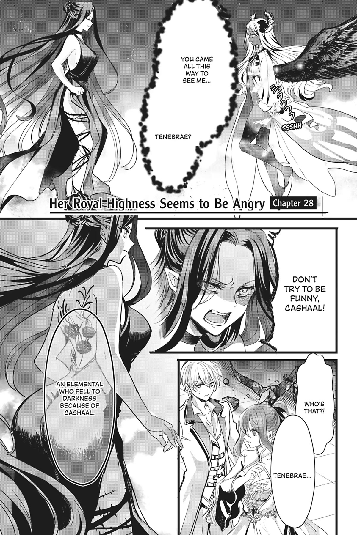 Her Royal Highness Seems To Be Angry Chapter 28 [End] - Picture 1