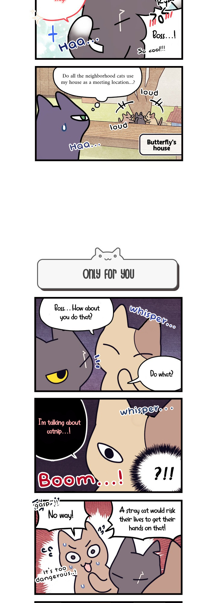 Cats Own The World Vol.1 Chapter 37 - Picture 3
