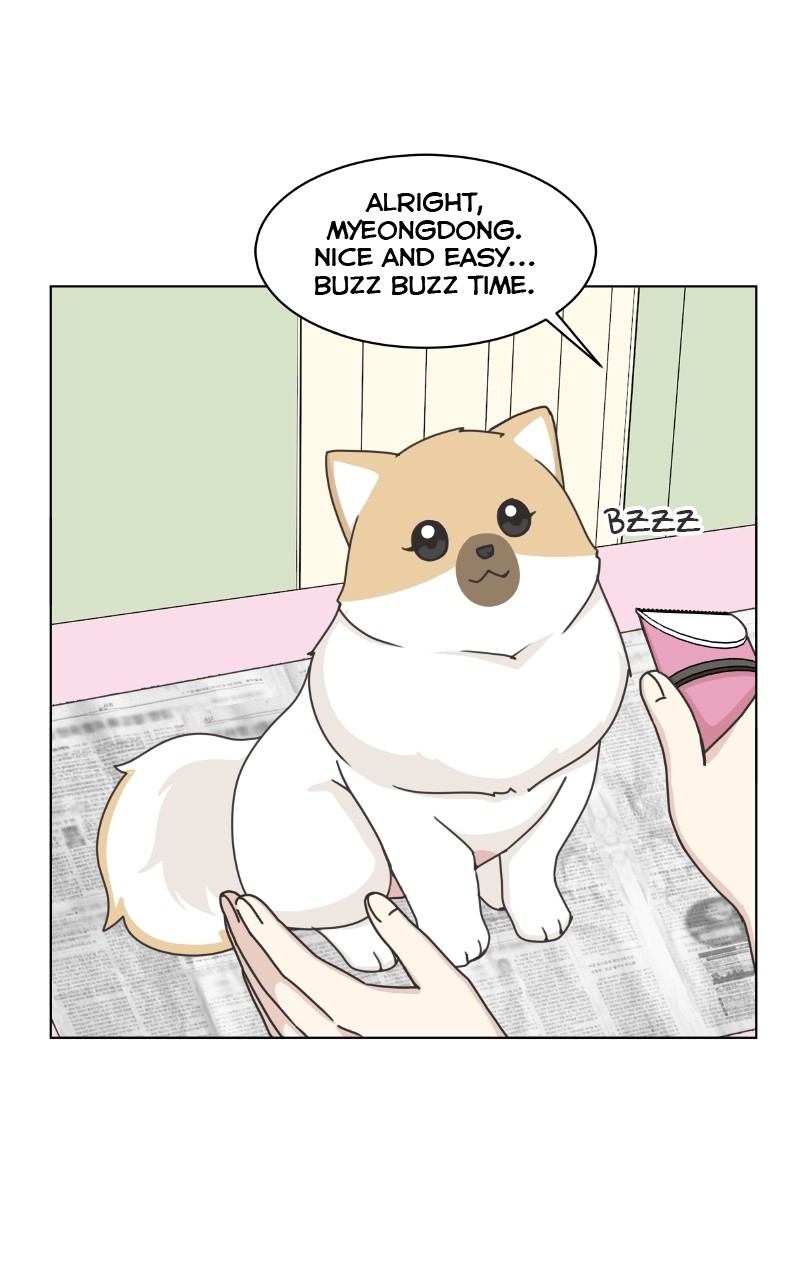 The Dog Diaries - Page 1