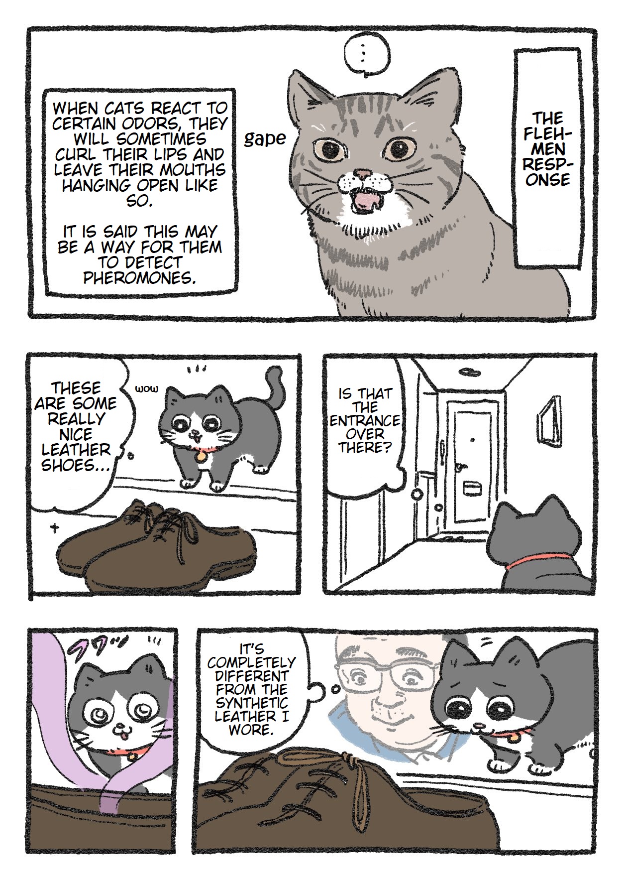 The Old Man Who Was Reincarnated As A Cat Chapter 57 - Picture 1