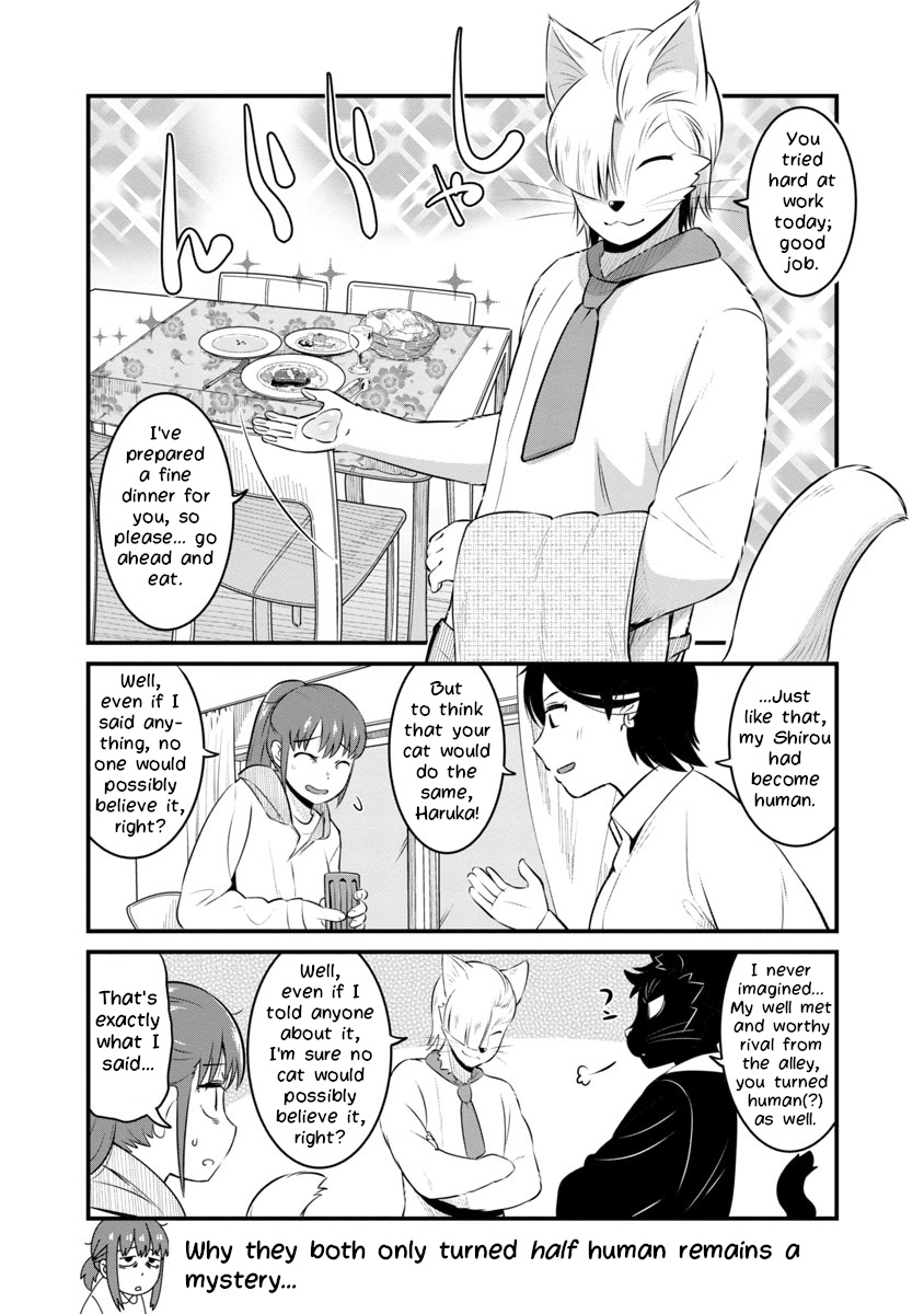 Saeki-Sanka No Black Cat - Page 4