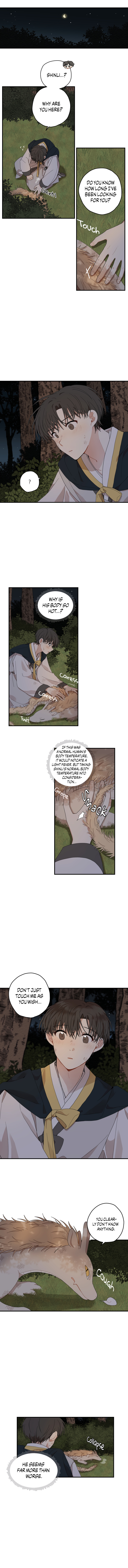The Path Where The Forsythia Fell - Page 1