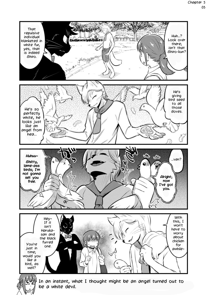 Saeki-Sanka No Black Cat - Page 3