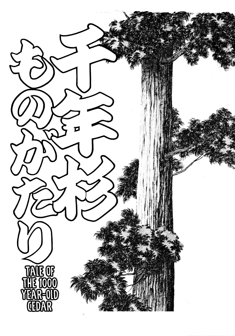 Folklore Series Vol.1 Chapter 3: Tale Of The 1000 Year-Old Cedar - Picture 1