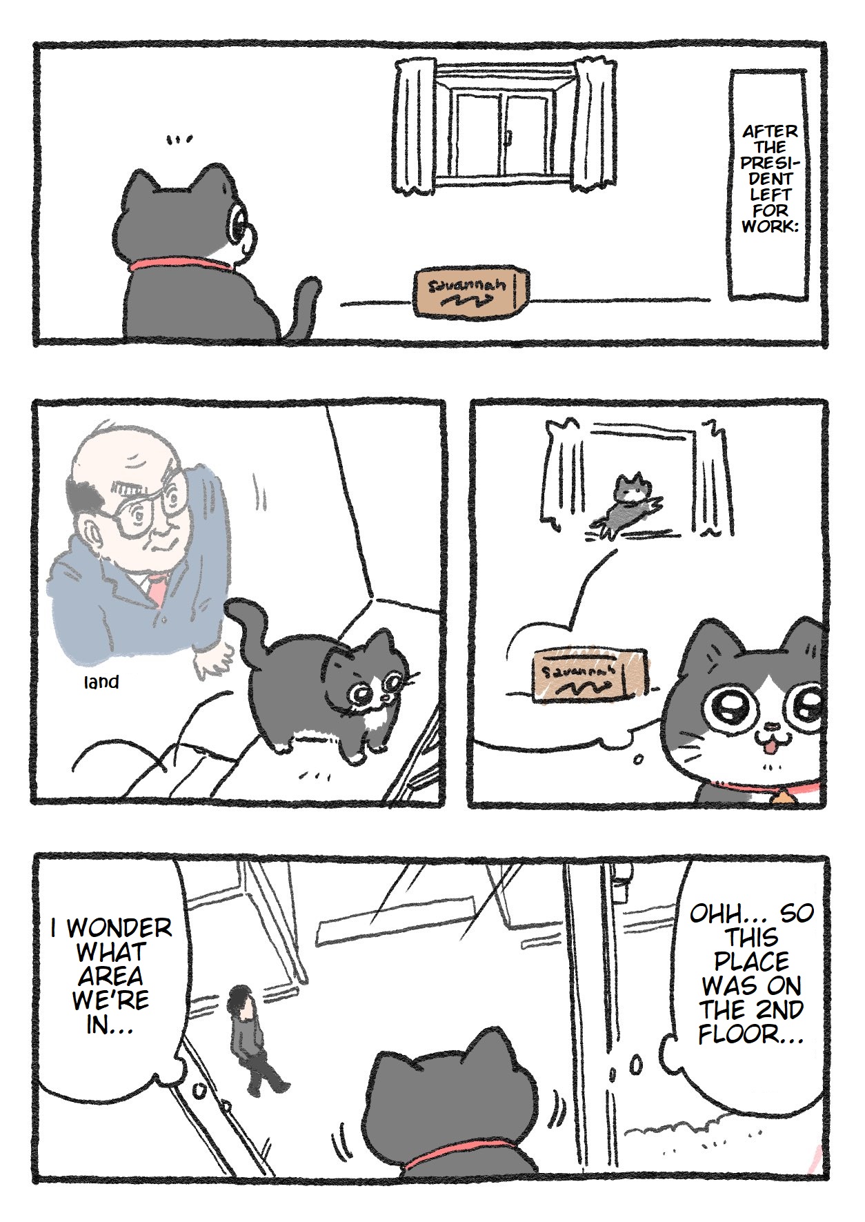 The Old Man Who Was Reincarnated As A Cat Chapter 109 - Picture 1
