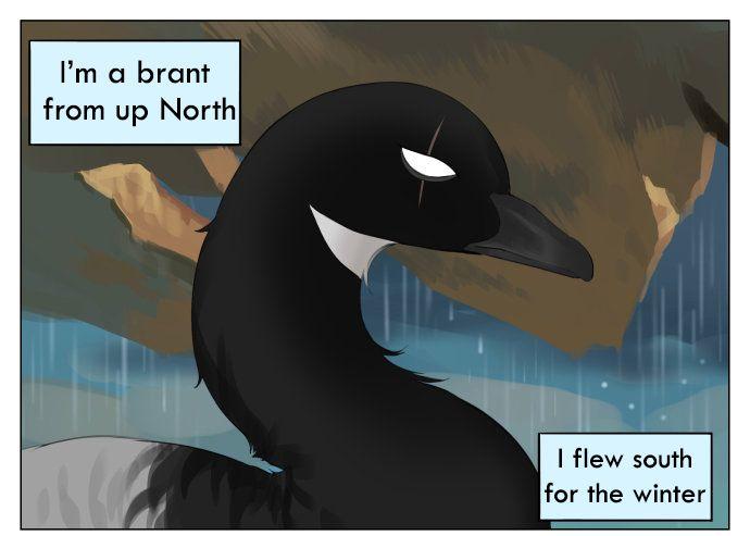 Southern Bird And Northern Bird Chapter 42 - Picture 1