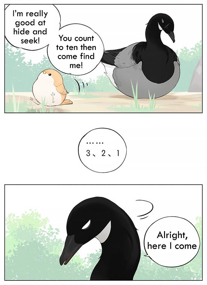 Southern Bird And Northern Bird - Page 3