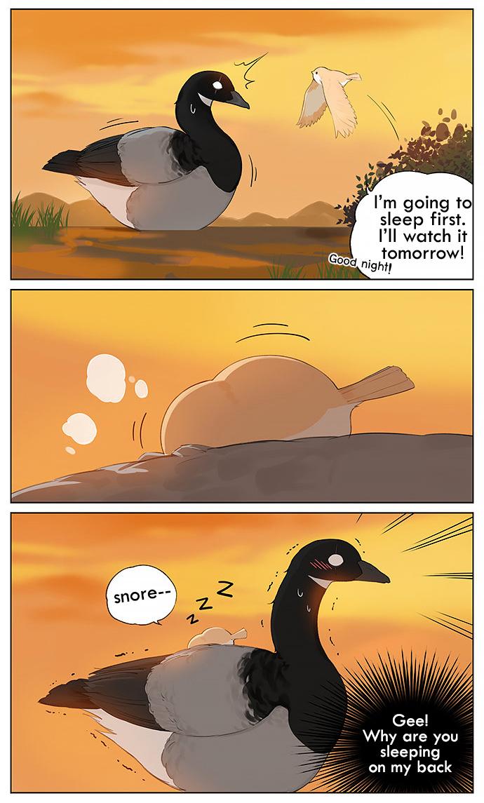 Southern Bird And Northern Bird - Page 4