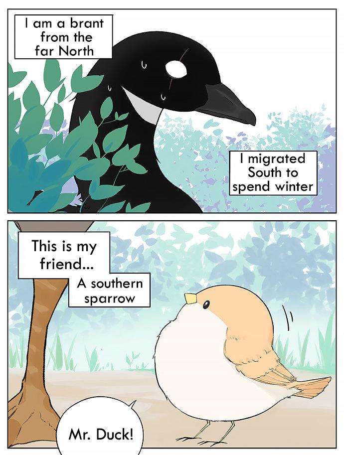 Southern Bird And Northern Bird Chapter 31 - Picture 1