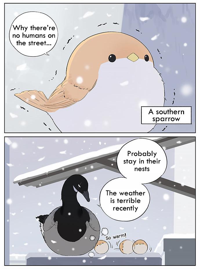 Southern Bird And Northern Bird Chapter 30 - Picture 2