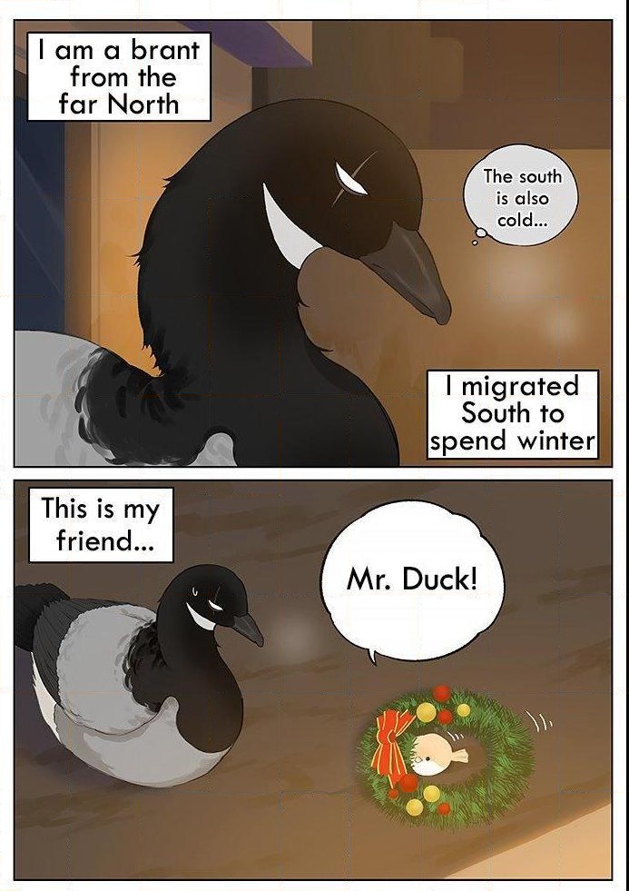Southern Bird And Northern Bird Chapter 28 - Picture 1
