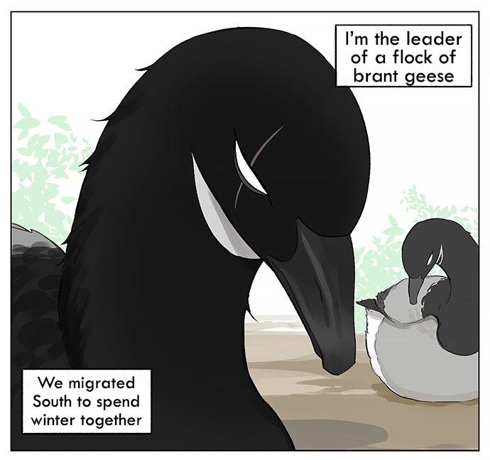 Southern Bird And Northern Bird Chapter 27 - Picture 1