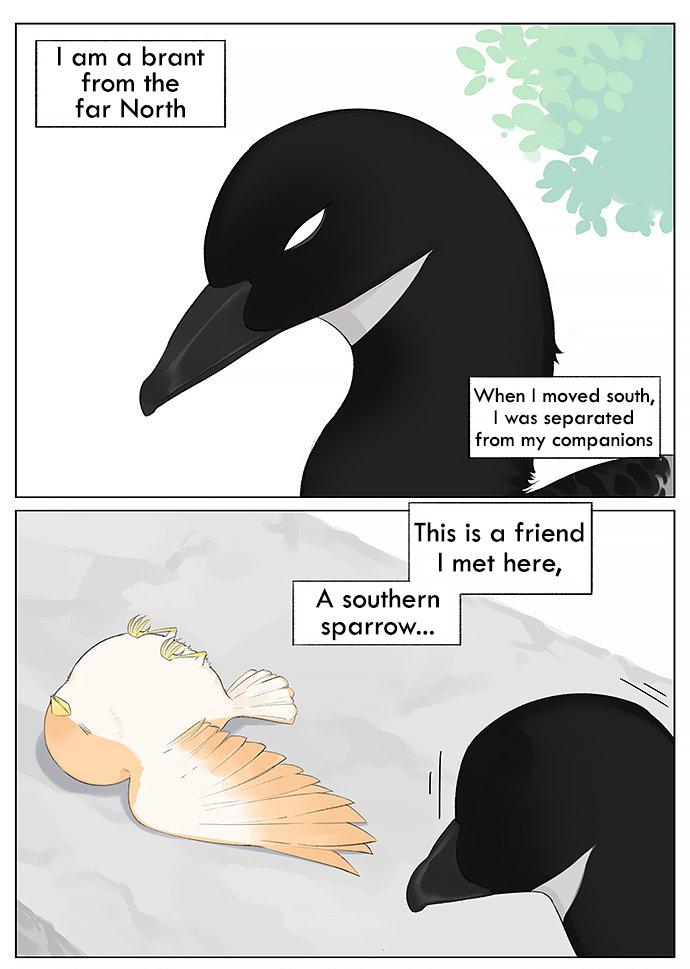 Southern Bird And Northern Bird - Page 1