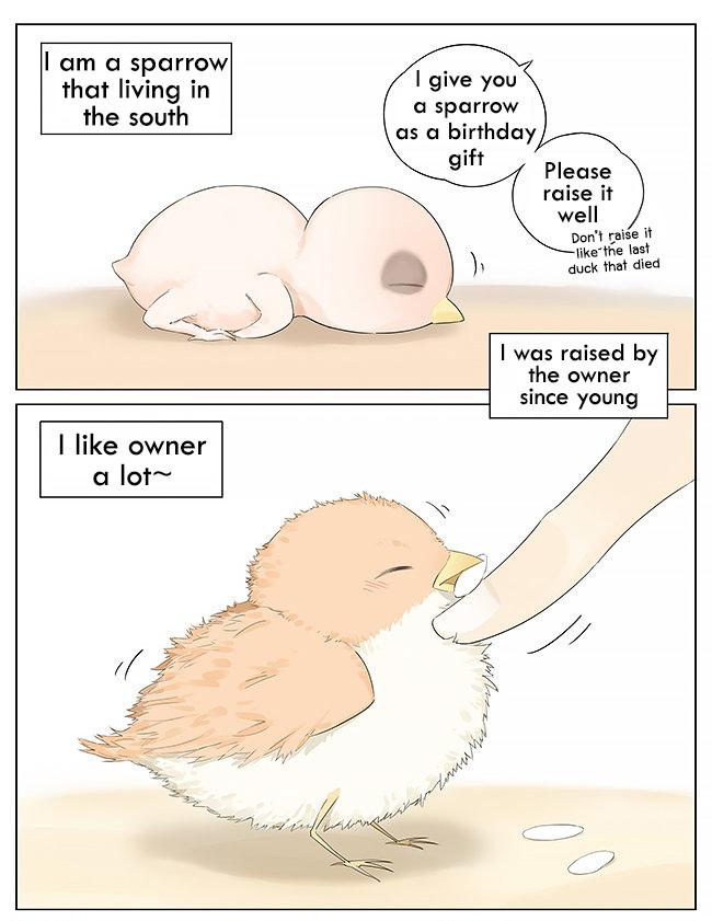 Southern Bird And Northern Bird Chapter 10 - Picture 1