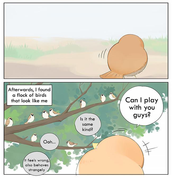 Southern Bird And Northern Bird - Page 4