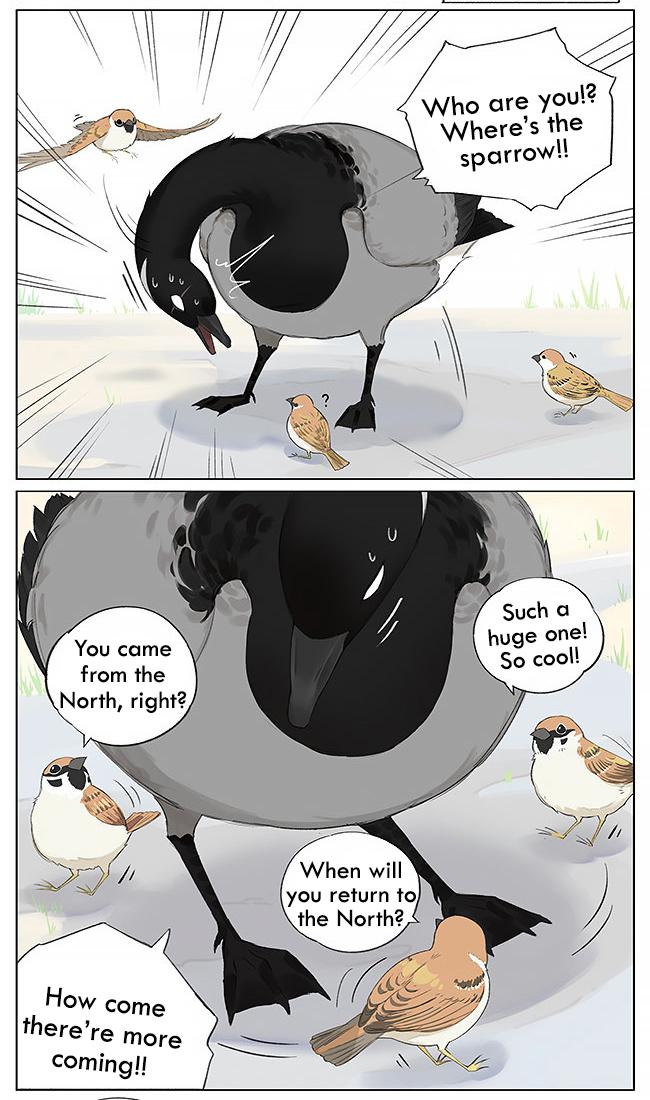 Southern Bird And Northern Bird Chapter 9 - Picture 2