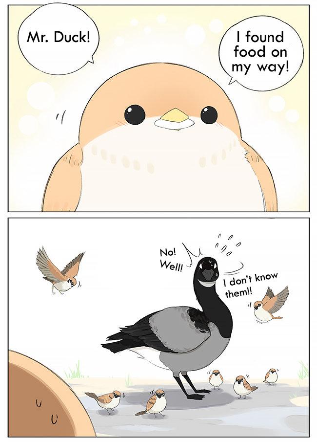 Southern Bird And Northern Bird - Page 3