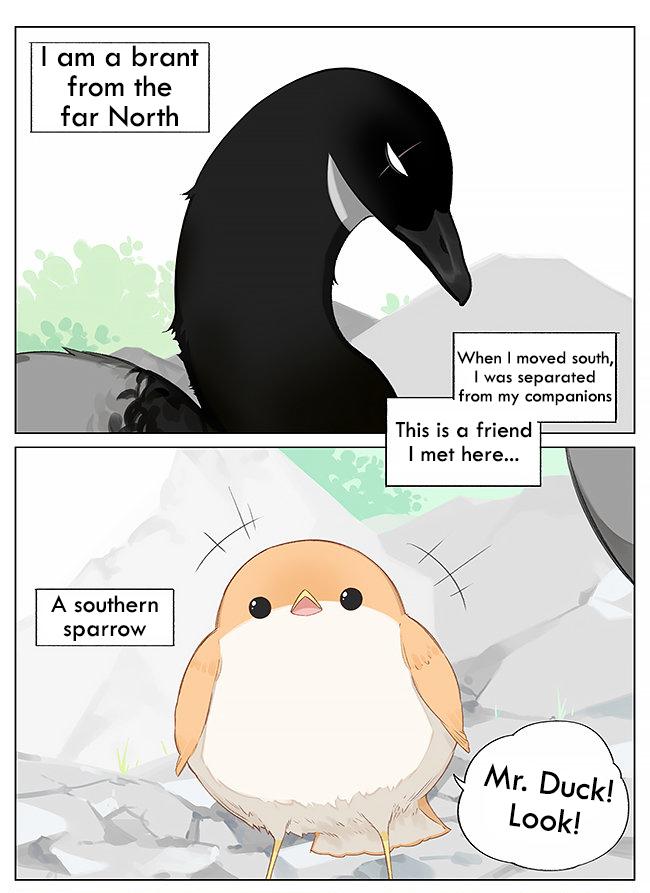 Southern Bird And Northern Bird Chapter 8 - Picture 1